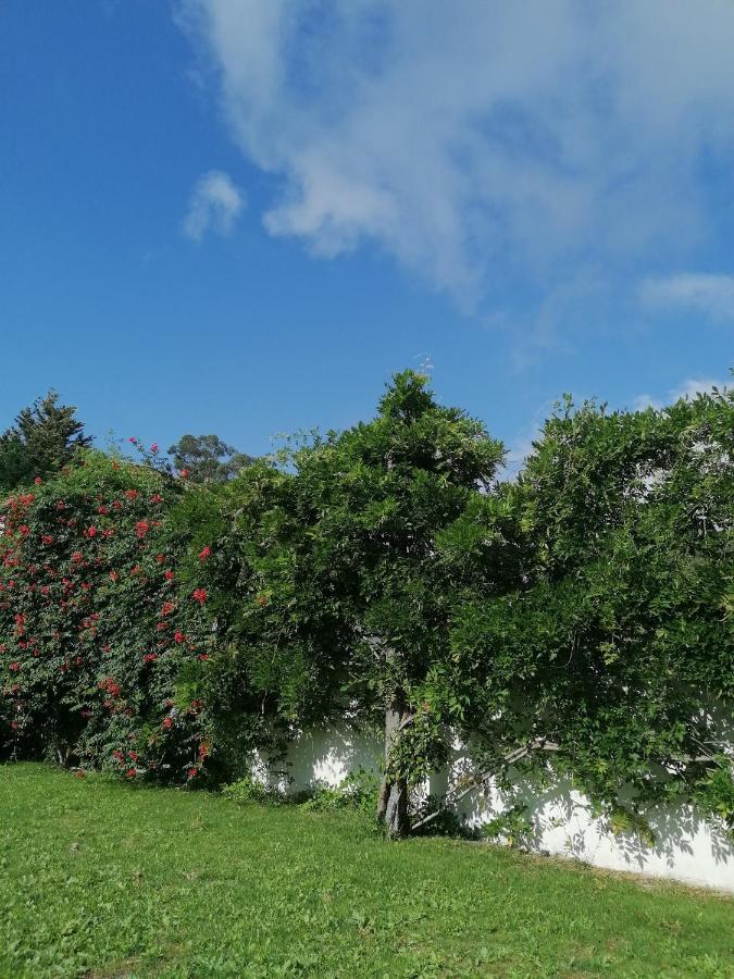 Holiday home Casa Das Castanheiras
